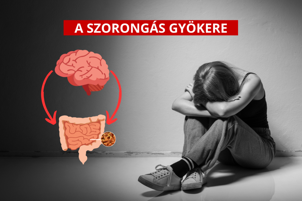 Szorongás és depresszió - egyenesen a belekből