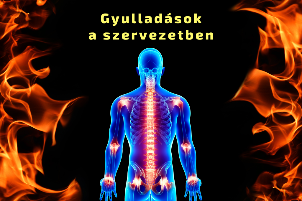 Gyulladások a szervezetben - Mit kell tudni róluk?